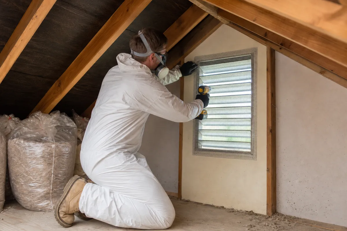 Attic Cleaning & Rodent Proofing